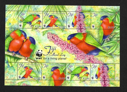 Fiji bunte papagaien - bunte,